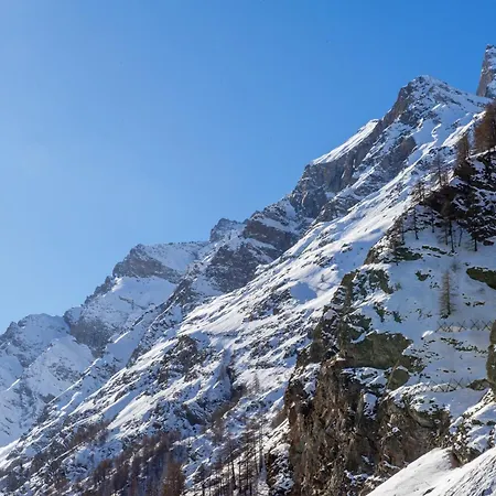 Arthemisia Pensión 3*